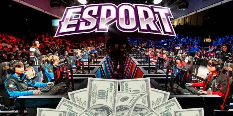 Net88 cược eSport hoàn trả 0.9% Vì sao nên chọn Net88 khi cá cược eSport?